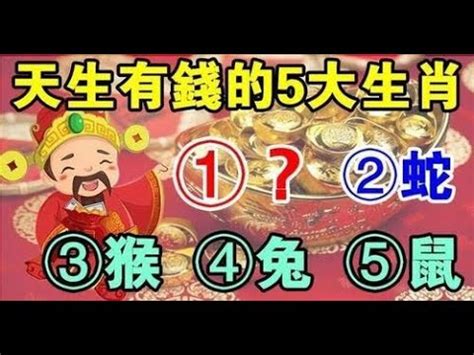 53年次屬龍房屋座向|十二生肖宅運大公開